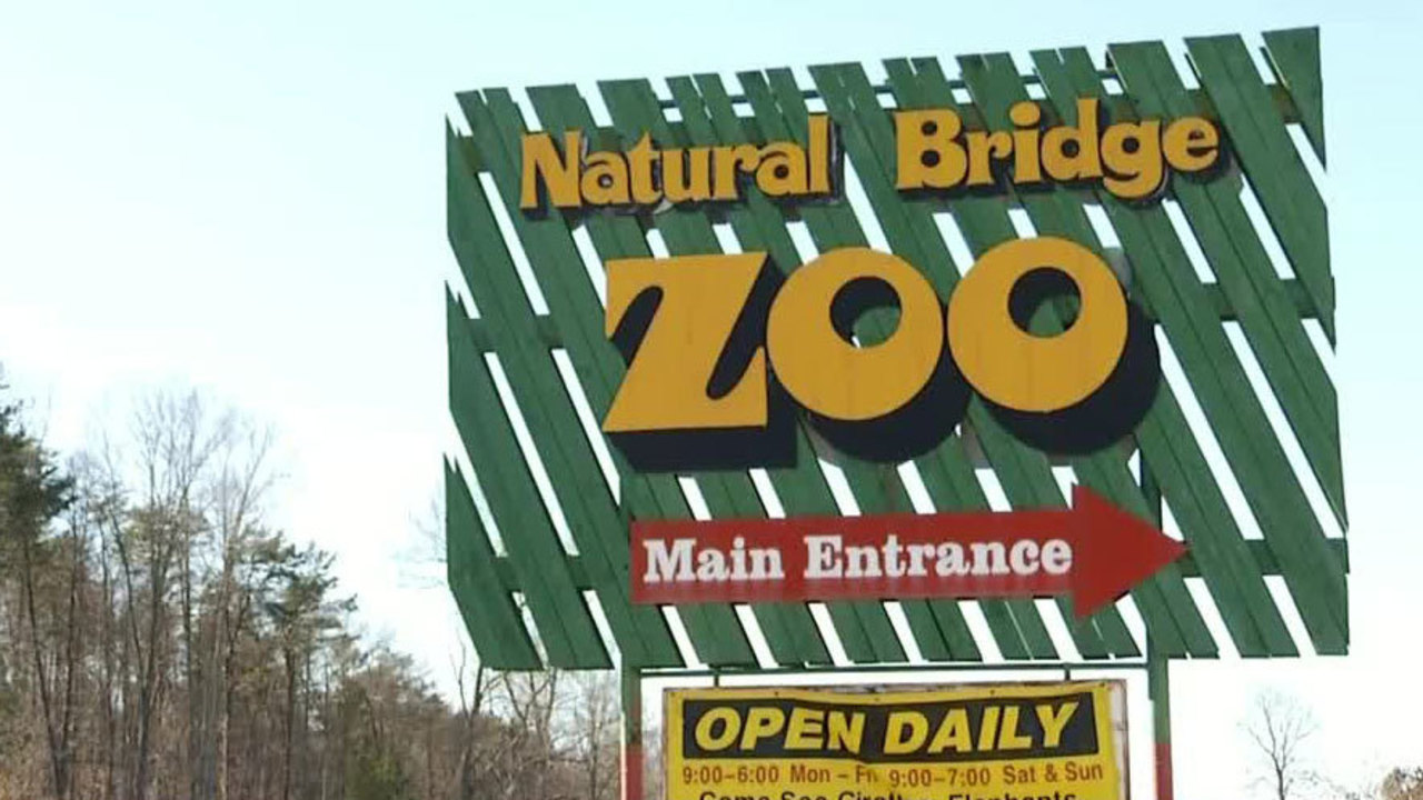 Natural Bridge Zoo ranked among 10 worst zoos for elephants